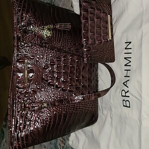 Beautiful Brahmin Medium Asher and Wallet.